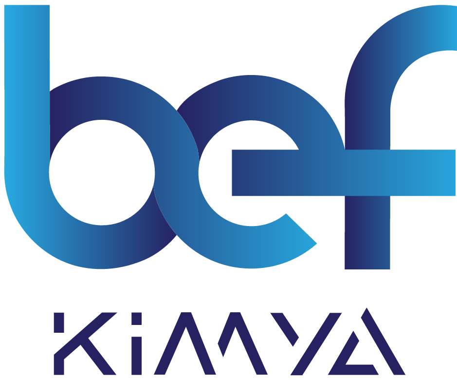 BEF KİMYA