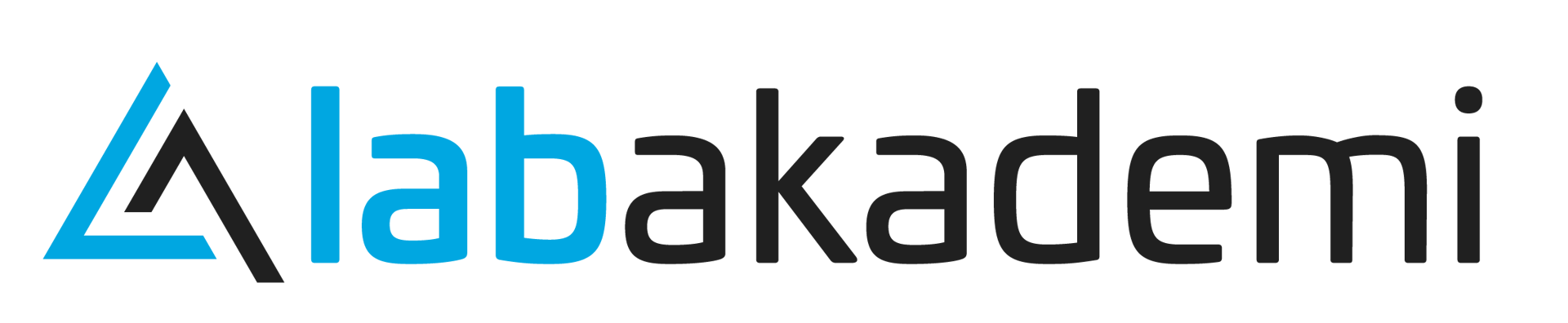 LAB AKADEMİ